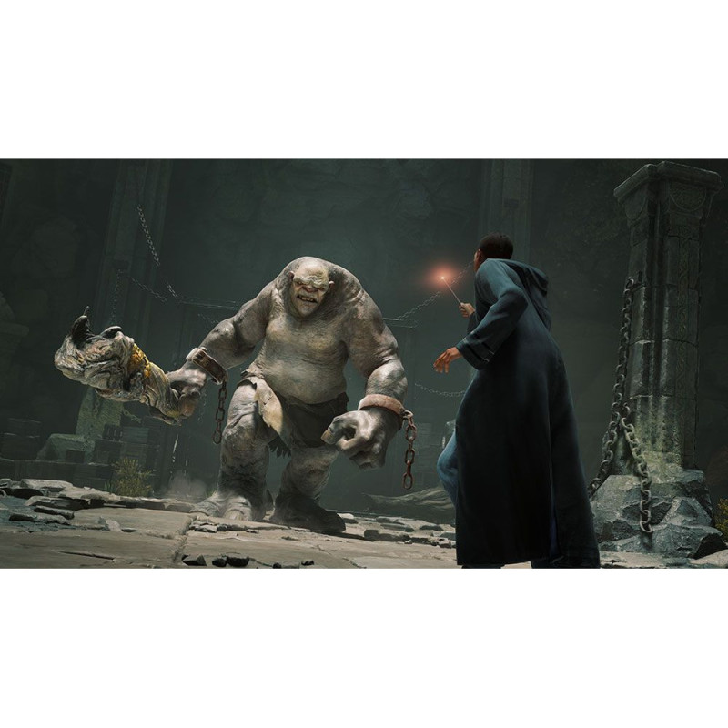 Games Software Гра консольна Switch Hogwarts Legacy Deluxe Edition, картридж (5051895415597)