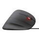 Trust GXT144 REXX ERGONOMIC BLACK (22991_TRUST)
