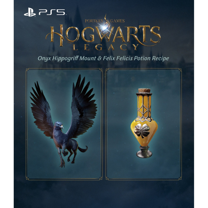 Games Software Hogwarts Legacy [Blu-Ray диск] (PS5) (1194246)