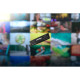 Накопитель SSD M.2 2280 2TB FURY Renegade G5 Kingston (SFYR2S/2T0)