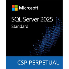 Microsoft SQL Server 2025 Standard Edition Perpetual 1 Server License (DG7GMGF0VNJS-0002)