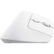 Trust Миша Trust Bayo+ Multidevice Ergonomic, BT/WL/USB-A, біла (25399_TRUST)