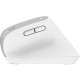 Trust Миша Trust Bayo+ Multidevice Ergonomic, BT/WL/USB-A, біла (25399_TRUST)