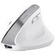 Trust Миша Trust Bayo+ Multidevice Ergonomic, BT/WL/USB-A, біла (25399_TRUST)