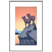 InkPoster Цифровий постер InkPoster Affresco 31.5", Wifi/BT, чорний (PB3150P1-WW)