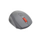 Мышка Canyon OnClick 20 Wireless Dark Gray (CNE-CMSW20DG)