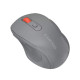 Мышка Canyon OnClick 20 Wireless Dark Gray (CNE-CMSW20DG)