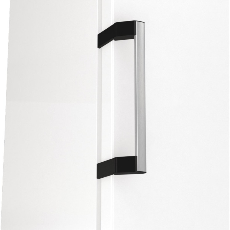 Gorenje Freezer, 185.5x59.5х66.3, 280L, 1door, A++, NF, display ext., invertor, white (FN619EAW6)
