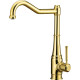 Deante TAMIZO Kitchen tap, with rectangular spout (BQT_Z63M)
