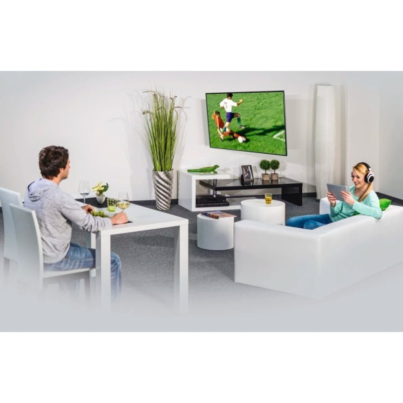 HAMA Крепление ТВ наклонно-поворотное TV-WB, AR-2, 19-48", черный (00118101)