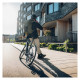 Рюкзак для ноутбука Thule 16" Paramount Commuter 20L TPBBP-320 Black (3205232)