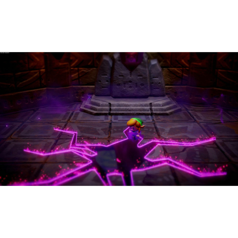 Games Software Game The Legend of Zelda: Echoes of Wisdom (Switch) (045496512408)