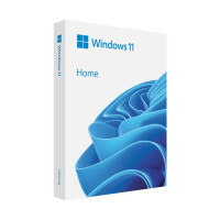 Операционная система Microsoft Windows 11 Home англ, FPP на USB носії (HAJ-00089)