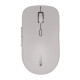 Мышка Canyon MW-12 Wireless/Bluetooth Grey (CNS-CMSW12DG)