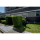 Metabo Cordless Hedge Trimmer HS 18 LTX BL 55, 18V, 55cm, cut 21mm, cutting length 50cm, 4kg (601722850)