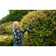 Ryobi Кущоріз акумуляторний Max Power RHT36C61R20S 36В акб 1х2А·год 60см крок різу 26мм 2.8кг (5133004661)