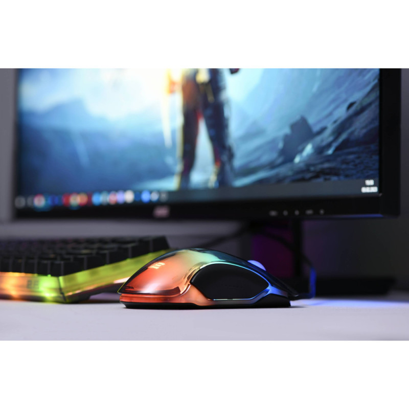 2E Gaming Mouse MG345 RGB USB Transparent
