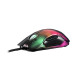 2E Gaming Mouse MG345 RGB USB Transparent
