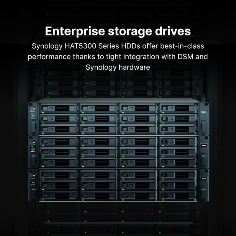 Synology HDD 3.5  SAS 3.0 20TB 7200 (HAS5310-20T)
