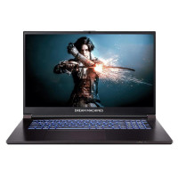 Dream Machines Notebook RG2050-17 17.3FHD IPS, Intel i5-12450H, 16GB, F1TB, NVD2050-4, DOS, black (RG2050-17UA31)