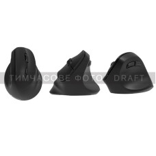2E Mouse MF325 Silent, WL/BT, vertical, black (2E-MF325WBK)