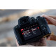 Canon Цифр. фотокамера EOS R10 body (5331C046)