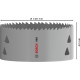 Bosch Коронка Professional Multi Material 108мм з різьбою (2.608.901.536)