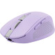 Trust Миша Trust Ozaa Compact Multi-Device, WL/BT, фіолетовий (25384_TRUST)