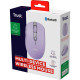 Trust Миша Trust Ozaa Compact Multi-Device, WL/BT, фіолетовий (25384_TRUST)