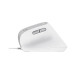 Мышка Trust Bayo II Ergonomic USB White (25397)