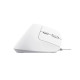 Мышка Trust Bayo II Ergonomic USB White (25397)