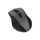 Мышка A4Tech Fstyler FG55S Plus Wireless Grey (4711421003421)