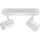 WiZ Surface-mounted spotlight smart IMAGEO Spots, 2х5W, 2200-6500K, RGB, Wi-Fi, white (929002658801)