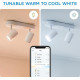 WiZ Surface-mounted spotlight smart IMAGEO Spots, 2х5W, 2200-6500K, RGB, Wi-Fi, white (929002658801)