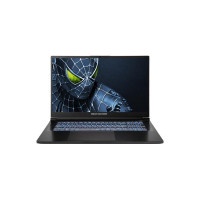 Ноутбук Dream Machines RG5050-17 (RG5050-17UA24)