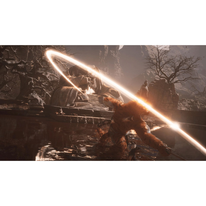 Games Software Black Myth: Wukong [BD диск] (PS5) (5056635611864)