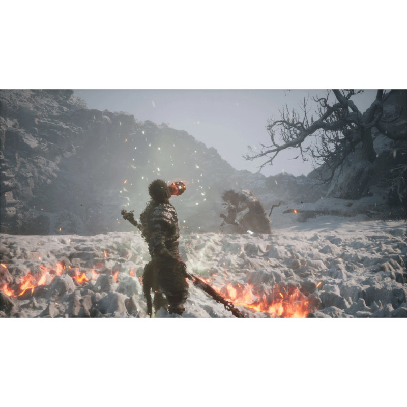 Games Software Black Myth: Wukong [BD диск] (PS5) (5056635611864)