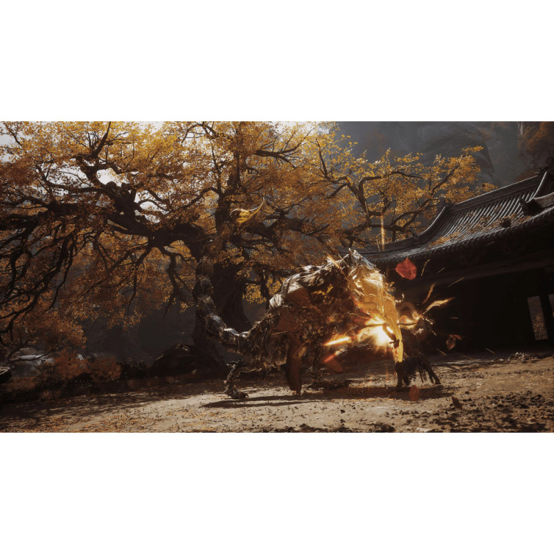 Games Software Black Myth: Wukong [BD диск] (PS5) (5056635611864)