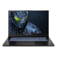Dream Machines Ноутбук RG5050-17 17.3FHD IPS, Intel i7-14650HX, 32GB, F1TB, NVD5050-8, DOS, чорний (RG5050-17UA21)