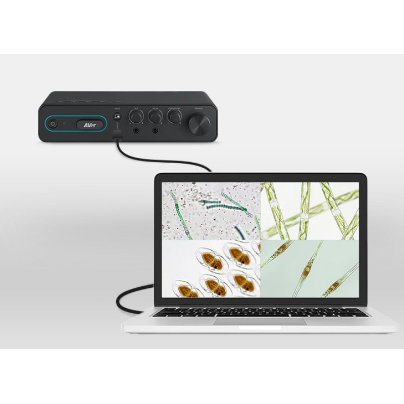 AVER SA-A5 audio system, 2 x Omni-mic, BT, USB, 3.5 mini jack, RJ45, black (61D1B20000AB)