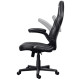 Кресло игровое Trust GXT703 Riye Black (25128)