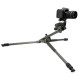 Штатив Vanguard Alta Pro 2+ 263AP (DAS301020)