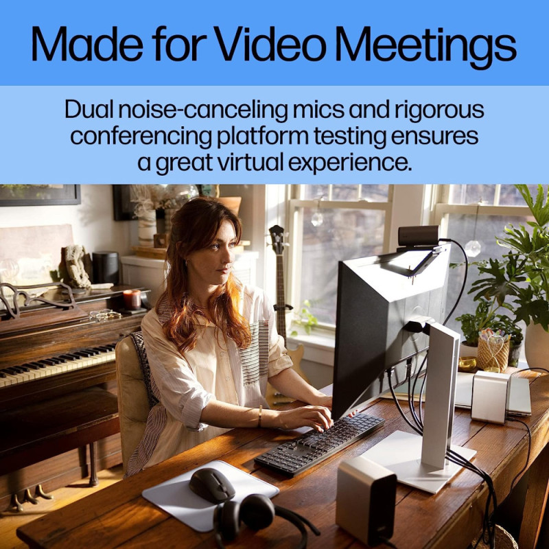 HP Webcam 960 4K Streaming silver (695J6AA)