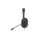 Наушники A4Tech FH100U Stone Black (4711421976978)