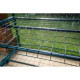 Neo Tools Folding greenhouse 195x143x143, 4 shelves, PE film 135g, green (15-910)