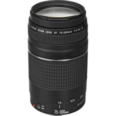 Canon EF 75-300mm f/4.0-5.6 III (6473A015)