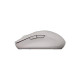 Мышка Canyon MW-12 Wireless/Bluetooth Beige (CNS-CMSW12BG)