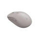 Мышка Canyon MW-12 Wireless/Bluetooth Beige (CNS-CMSW12BG)