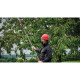 Einhell Telescopic cordless pruning shears GP-LS 18/28 Li T BL - Solo, PXC, 18V, brushless, thickness. 28/14 mm, SK5 steel, telescopic handle, 0.82 kg (without battery and charger) (3408330)