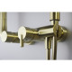Deante Shower system Silia with mixer tap, shower - shower head, hand shower, handle - on a slide bar, brushed gold (NQS_R4XM)